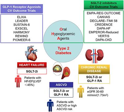 Type 2 Diabetes and Myocardial Infarction: Recent Clinical Evidence and Perspective